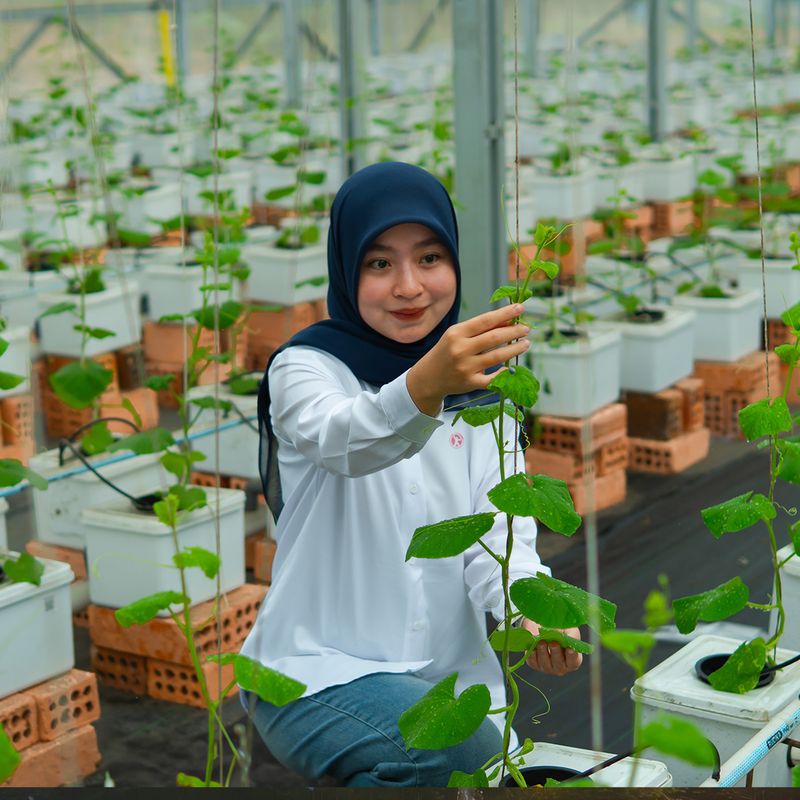 Nilai Ekonomi Jangka Panjang